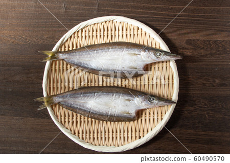 梭子魚（乾魚）的開業（英文名稱：梭子魚，學名：Sphyraenidae） 60490570