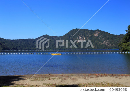 Japanese black trout habitat, Lake Numazawa Japanese black trout habitat, Lake Numazawa 60493068