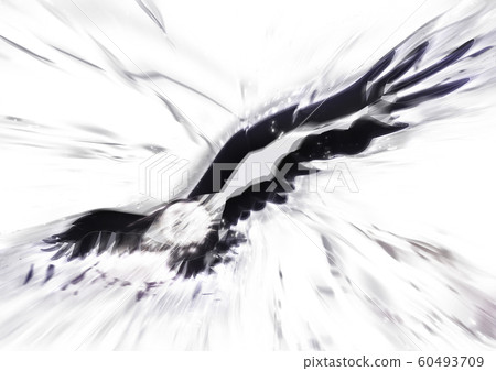Abstract bird flapping Abstract bird flapping 60493709