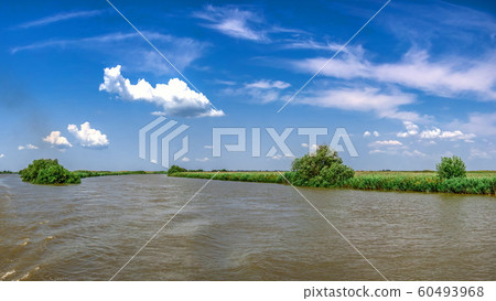 Danube River near the village of Vilkovo, Ukraine 60493968