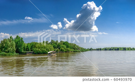 Danube River near the village of Vilkovo, Ukraine 60493970