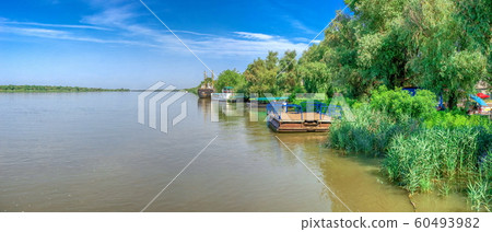 Danube River near the village of Vilkovo, Ukraine 60493982