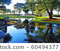 Pond in Sanhajo Park 60494377