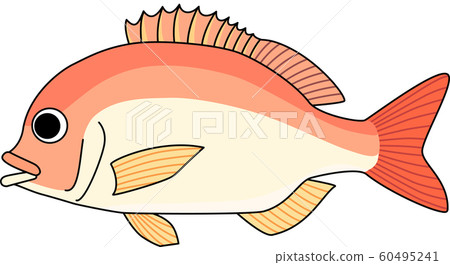 腎臟lotus插圖 60495241