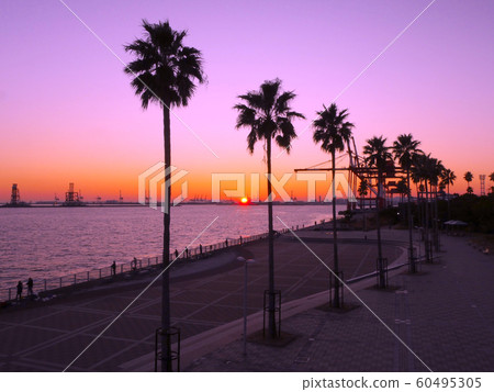 六甲島海洋公園集裝箱場組 60495305