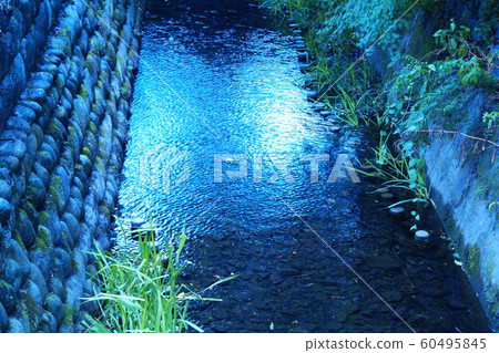 Color Transparent Flow In a river (registered December 2019) Maximum size: M Color Transparent Flow In a river (registered December 2019) Maximum size: M 60495845