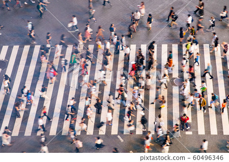 Shibuya scramble intersection 60496346