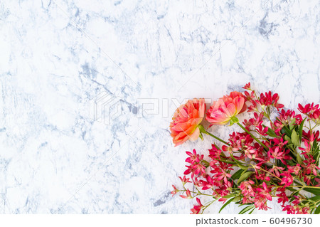 Botanical frame 60496730