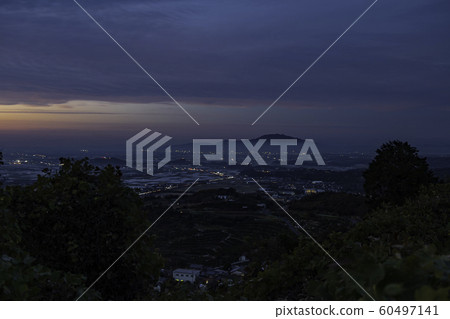 夜景 60497141