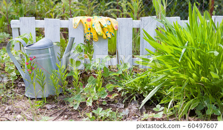Outdoor gardening tools in garden in spring. Watering can, colorful gloves on ground 60497607