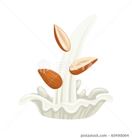 Raw Peeled Almond Nut with Splash of Milk Vector Illustration Raw Peeled Almond Nut with Splash of Milk Vector Illustration 60498064