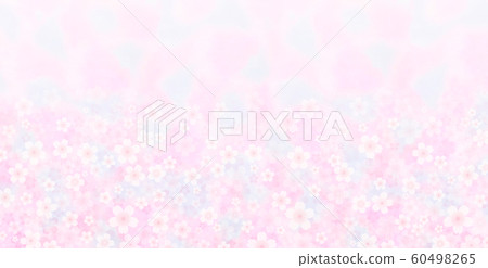 cherry blossoms in full bloom 60498265