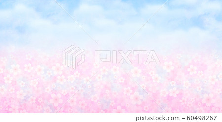 櫻花盛開藍天櫻花暴風雪染井吉野櫻 60498267
