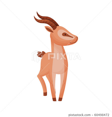 gazelle standing