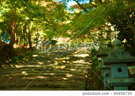 秋宮神社的秋葉2019 秋宮神社的秋葉2019 60498734