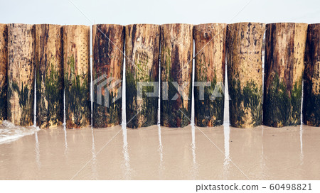 Wooden groyne partlialy covered with algae on a Wooden groyne partlialy covered with algae on a 60498821