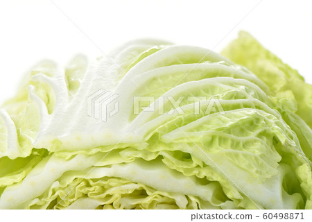 Macro shot of a surface of lettuce. Chinese cabbage on a white background. 60498871