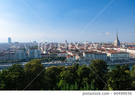 Turin cityscape from Monte dei Cappuccini Turin cityscape from Monte dei Cappuccini 60499036