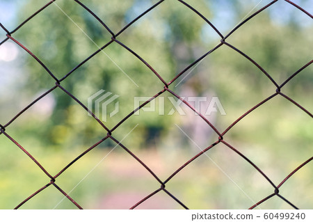 Views blurred summer landscape through the iron 60499240