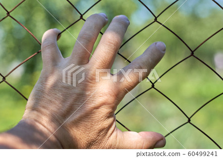 Palm, close-up, fingers clenching the metal bars 60499241