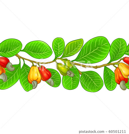 cashew vector pattern cashew vector pattern 60501211