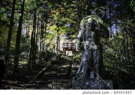Temple Temple 60501487
