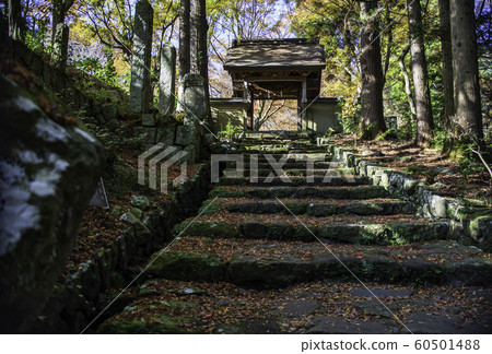 Temple Temple 60501488
