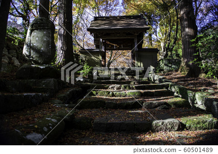 Temple Temple 60501489