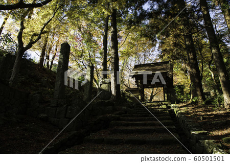 Temple Temple 60501501