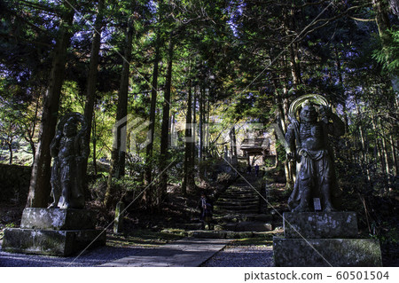 Temple Temple 60501504