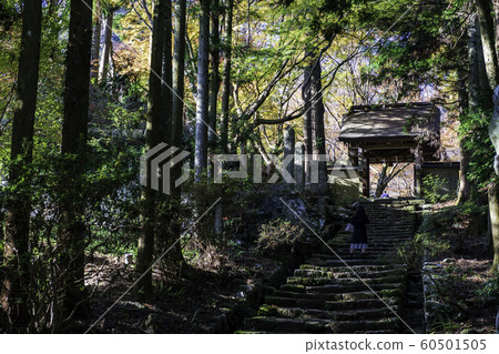 Temple Temple 60501505