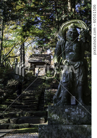 Temple Temple 60501506