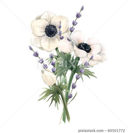 Beautiful watercolor floral bouquet with anemone and lavanda flowers. Stock illustration. Beautiful watercolor floral bouquet with anemone and lavanda flowers. Stock illustration. 60501772
