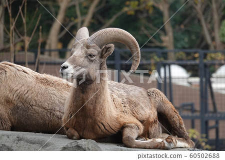 Is it chilly? ? 60502688