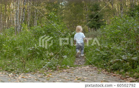 Little boy walking along the path in the forest Little boy walking along the path in the forest 60502792