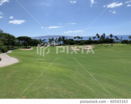 Paradise Golf in Wailea Maui Paradise Golf in Wailea Maui 60503163