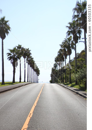 西浦海濱路 海濱 海濱路 60503335