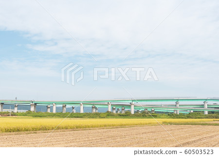 交界處高速公路高架橋墩墩土木工程 60503523