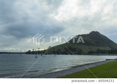 新西蘭鎮Langa，芒格努伊山，毛澳山 60504231