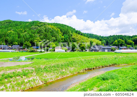 Country landscape in summer 60504624