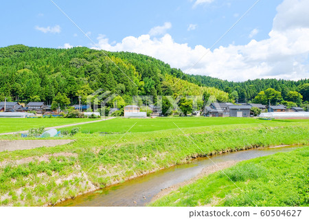Country landscape in summer 60504627