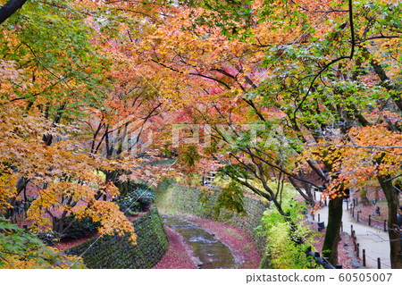 北野天滿宮神社楓木碗(京都) 北野天滿宮神社楓木碗(京都) 60505007