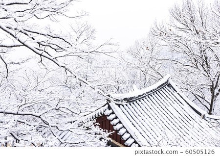 Winter landscape in sansa 60505126