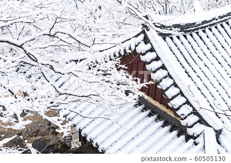 Winter landscape in sansa 60505130