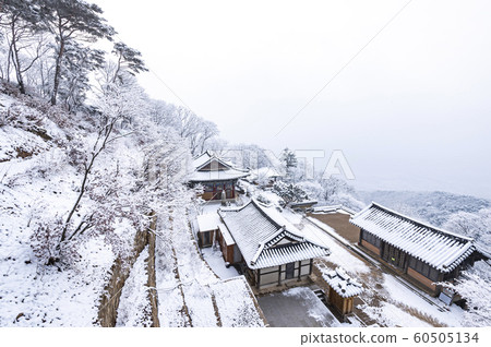 Winter landscape in sansa 60505134