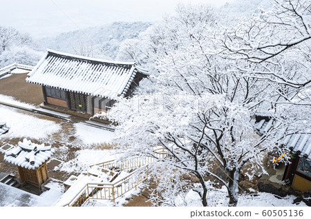 桑薩的冬季風景 60505136
