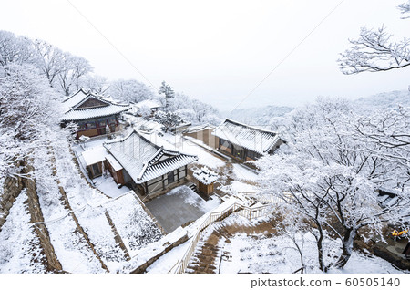 桑薩的冬季風景 桑薩的冬季風景 60505140