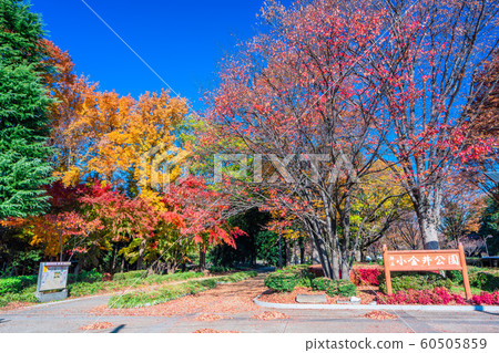 Autumn Koganei Park in Tokyo 60505859