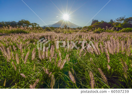 富士山秋季鑽石富士 60507239