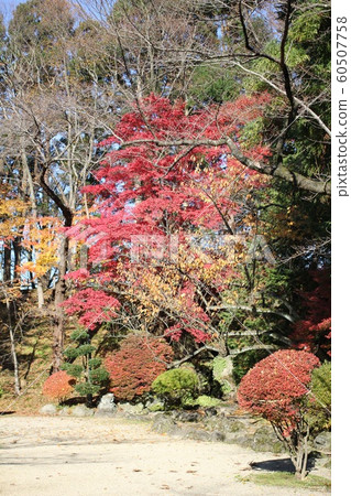 千秋公園的秋葉 60507758